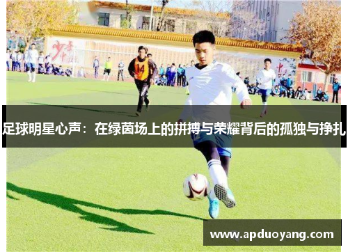 足球明星心声：在绿茵场上的拼搏与荣耀背后的孤独与挣扎