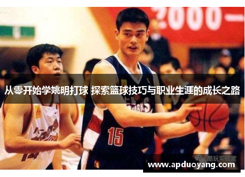 从零开始学姚明打球 探索篮球技巧与职业生涯的成长之路
