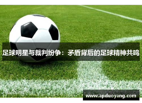 足球明星与裁判纷争：矛盾背后的足球精神共鸣
