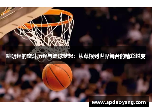 姚明程的奋斗历程与篮球梦想：从草根到世界舞台的精彩蜕变