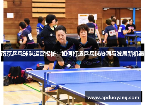 南京乒乓球队运营揭秘：如何打造乒乓球热潮与发展新机遇