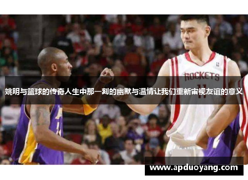 姚明与篮球的传奇人生中那一刻的幽默与温情让我们重新审视友谊的意义