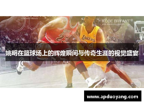 姚明在篮球场上的辉煌瞬间与传奇生涯的视觉盛宴