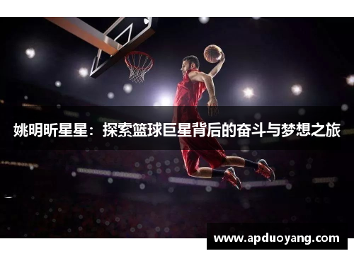 姚明昕星星：探索篮球巨星背后的奋斗与梦想之旅