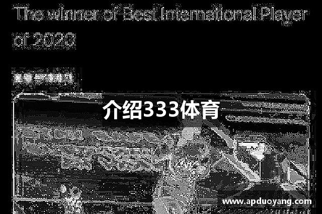 介绍333体育